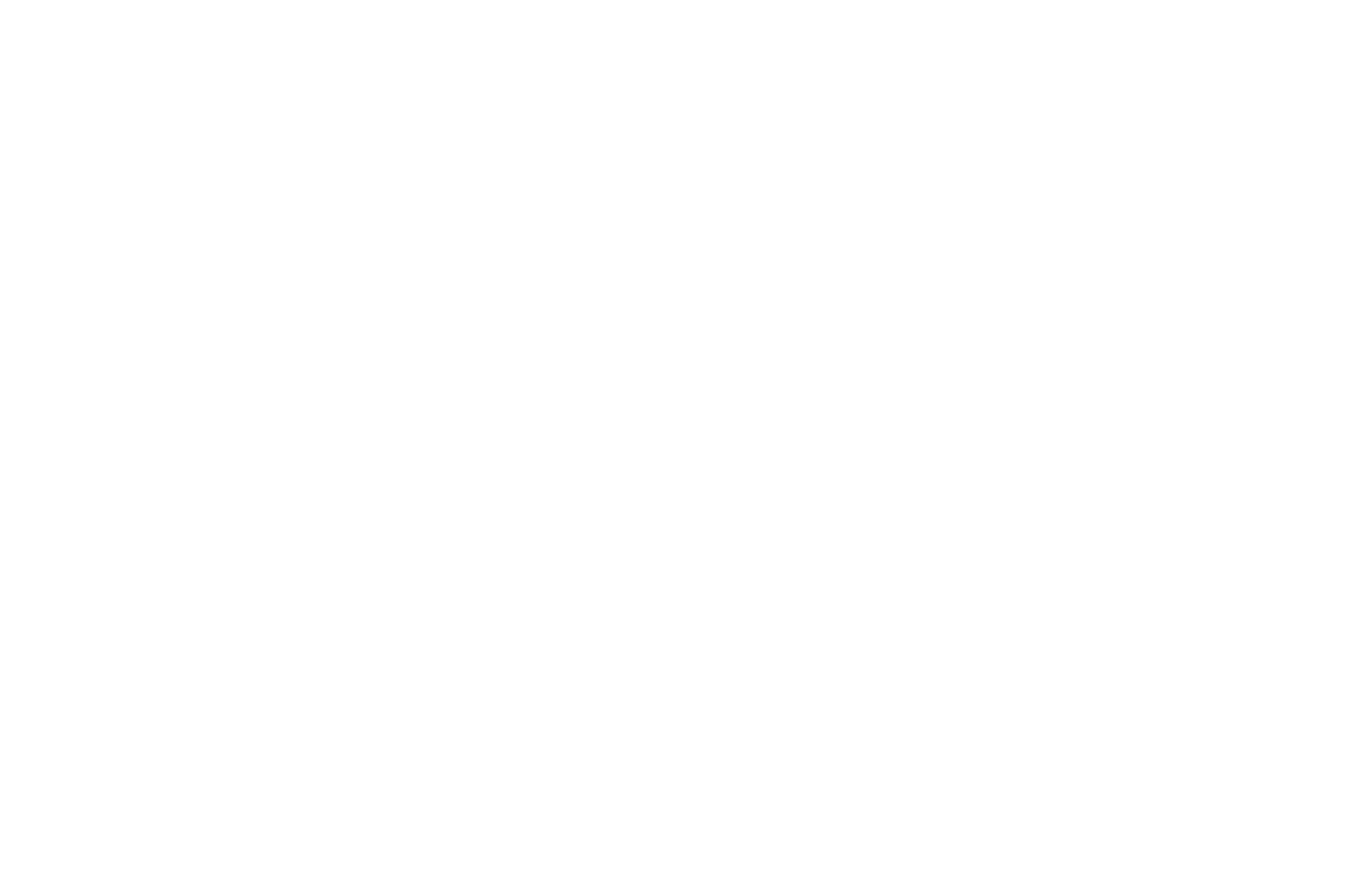 Biesterfeld logo in white