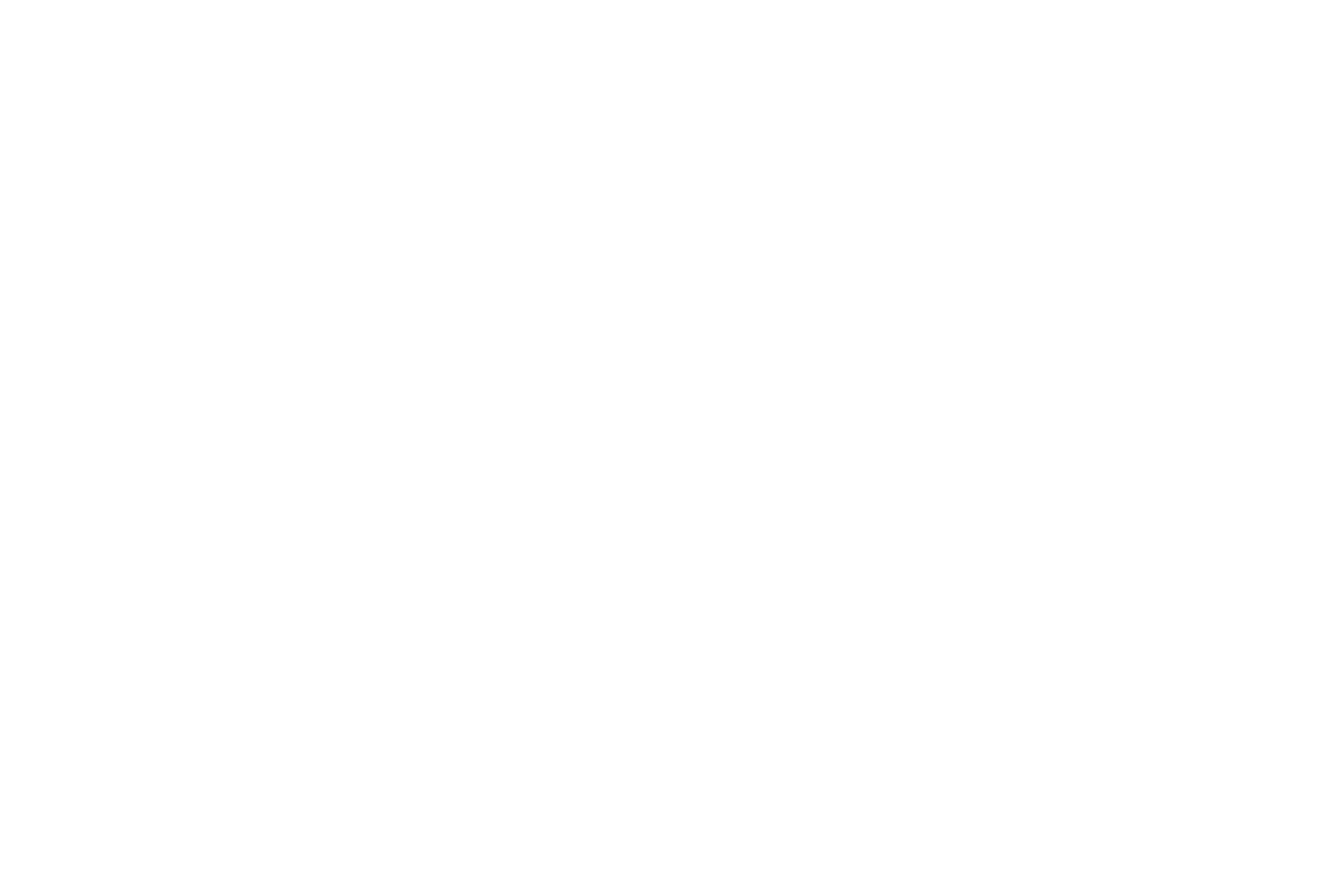 Uber logo in white