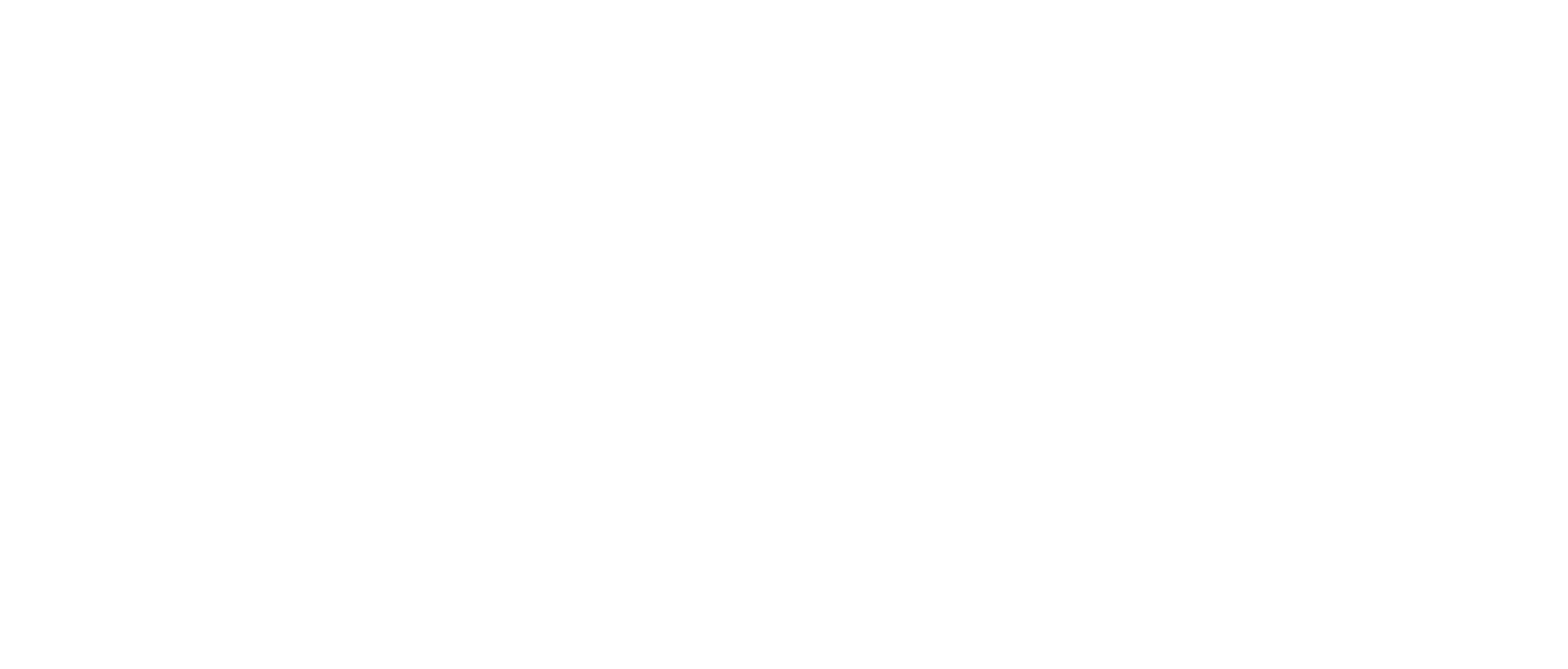 Burda logo in white