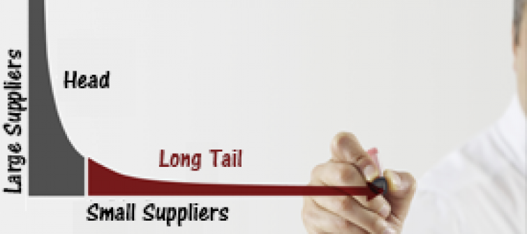 Diagram illustrating the long tail of small suppliers.
