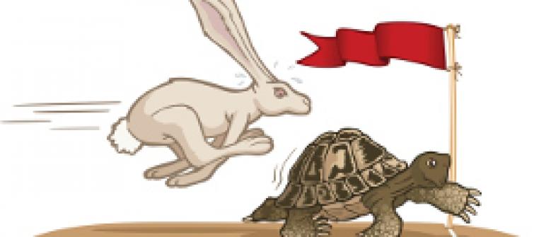 A Turtle at the Finish Line and a Rabbit Trying to Beat it