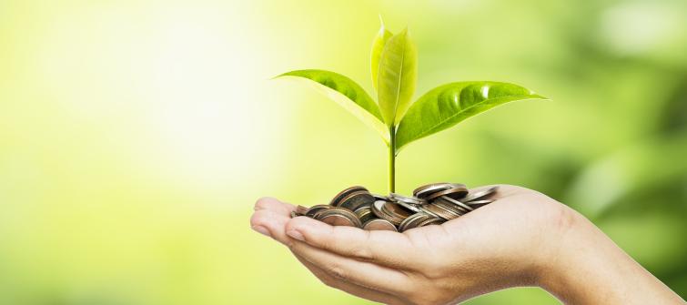 Embracing Sustainability for Better Business Spend Management