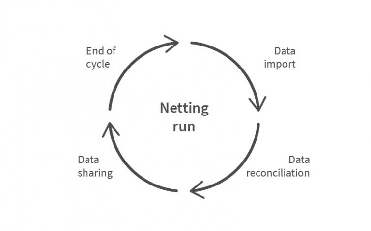 netting run image
