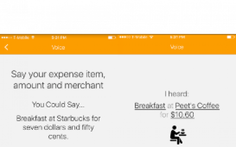 Screenshot of mobile expenses app. 