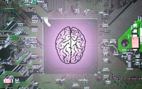 Motherboard with An Image of a Brain