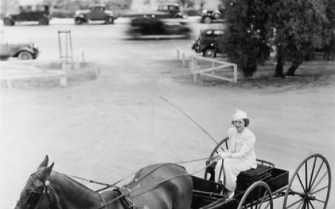 Woman driving horse and buggy