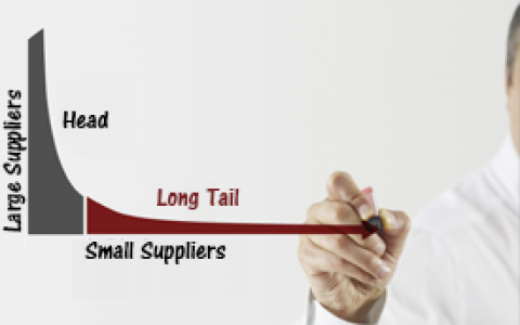 Diagram illustrating the long tail of small suppliers.