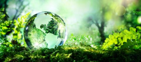 Profitable Sustainability Solutions for Supply Chains