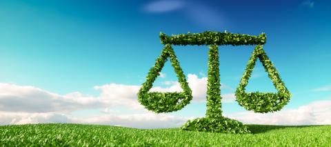 4 Best Practices to Comply with Germany's ESG Mandate