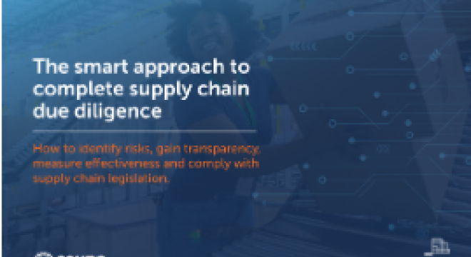 PwC ebook Supply Chain Due Diligence