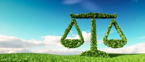 4 Best Practices to Comply with Germany's ESG Mandate