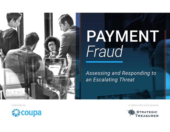 Online Payment Fraud eBook Cover