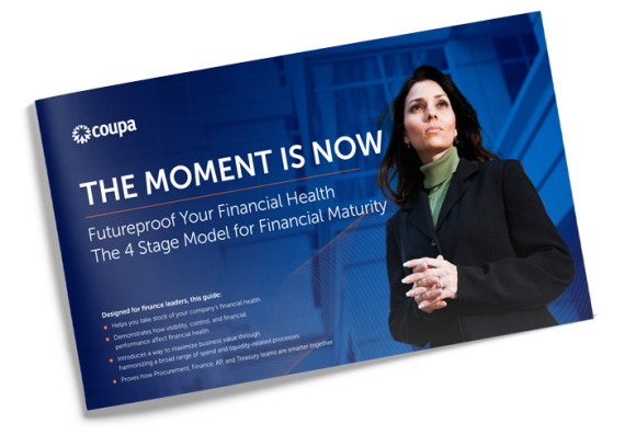 eBook: The Moment Is Now: Futureproof Your Financial Health - The Four Stage Model for Financial Maturity: Cover