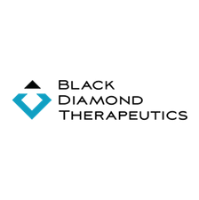 Black Diamond Therapeutics Logo