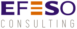 EFESO Consulting Logo