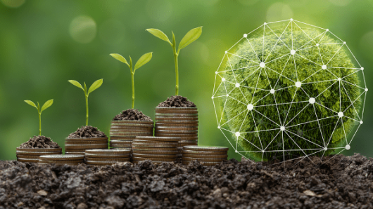 What Is Corporate Sustainability?