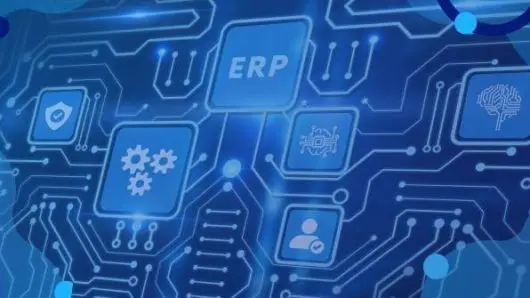 4 Reasons Why Your ERP Software Can’t Do It All