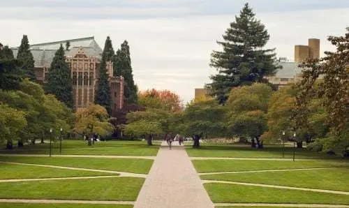 photo of Brandeis campus