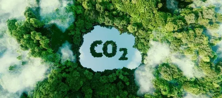 Global Regulatory Changes: Shifting to Green Supply Chains