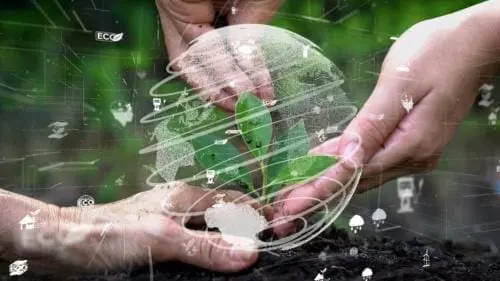 Webinar: The Pivotal role of the CPO in Building for the Future