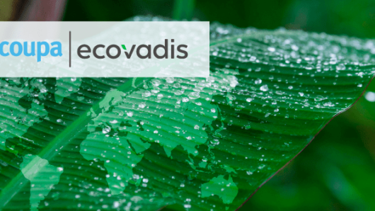 EcoVadis and Coupa: Streamlining Supplier Sustainability in Supply Chain Management