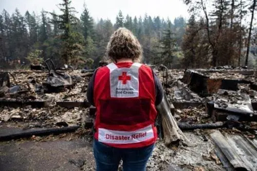 red cross disaster relief worker looking at remnants of forest fire
