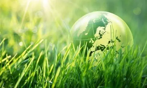 illustration of a green globe nestled in grass with the sun shining