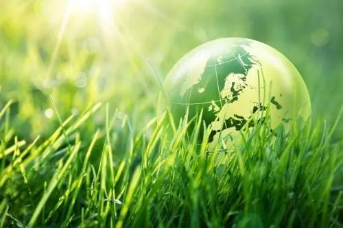 illustration of a green globe nestled in grass with the sun shining