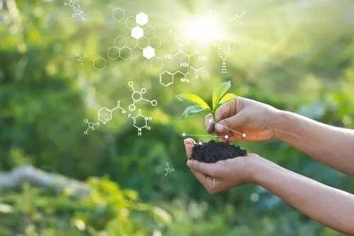 double exposed image showing a person holding dirt and a seedling with cells overlaid