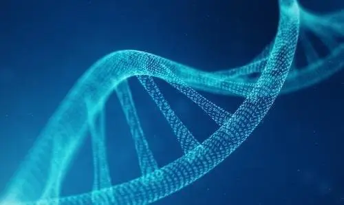 illustration of a strain of DNA