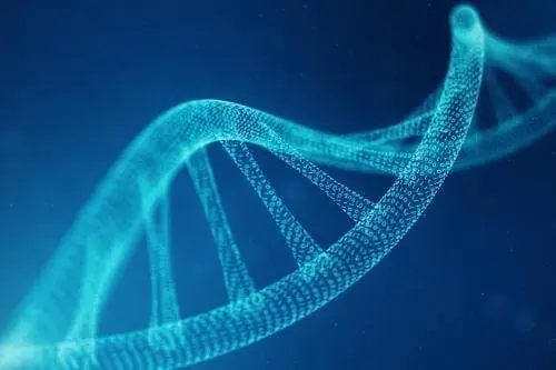 illustration of a strain of DNA