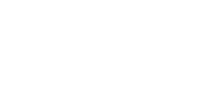 Priority-Ambulance-Logo