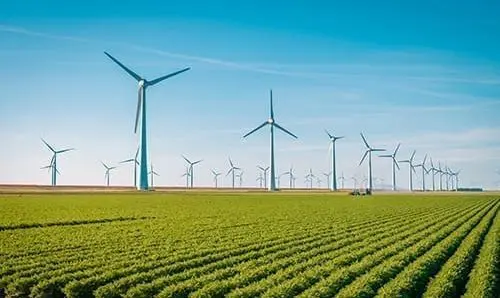 field with windmills