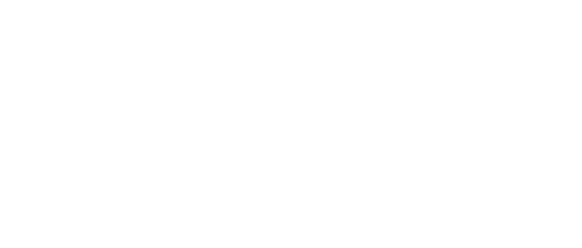 Burda_white_logo