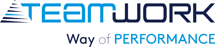 TeamWork Logo