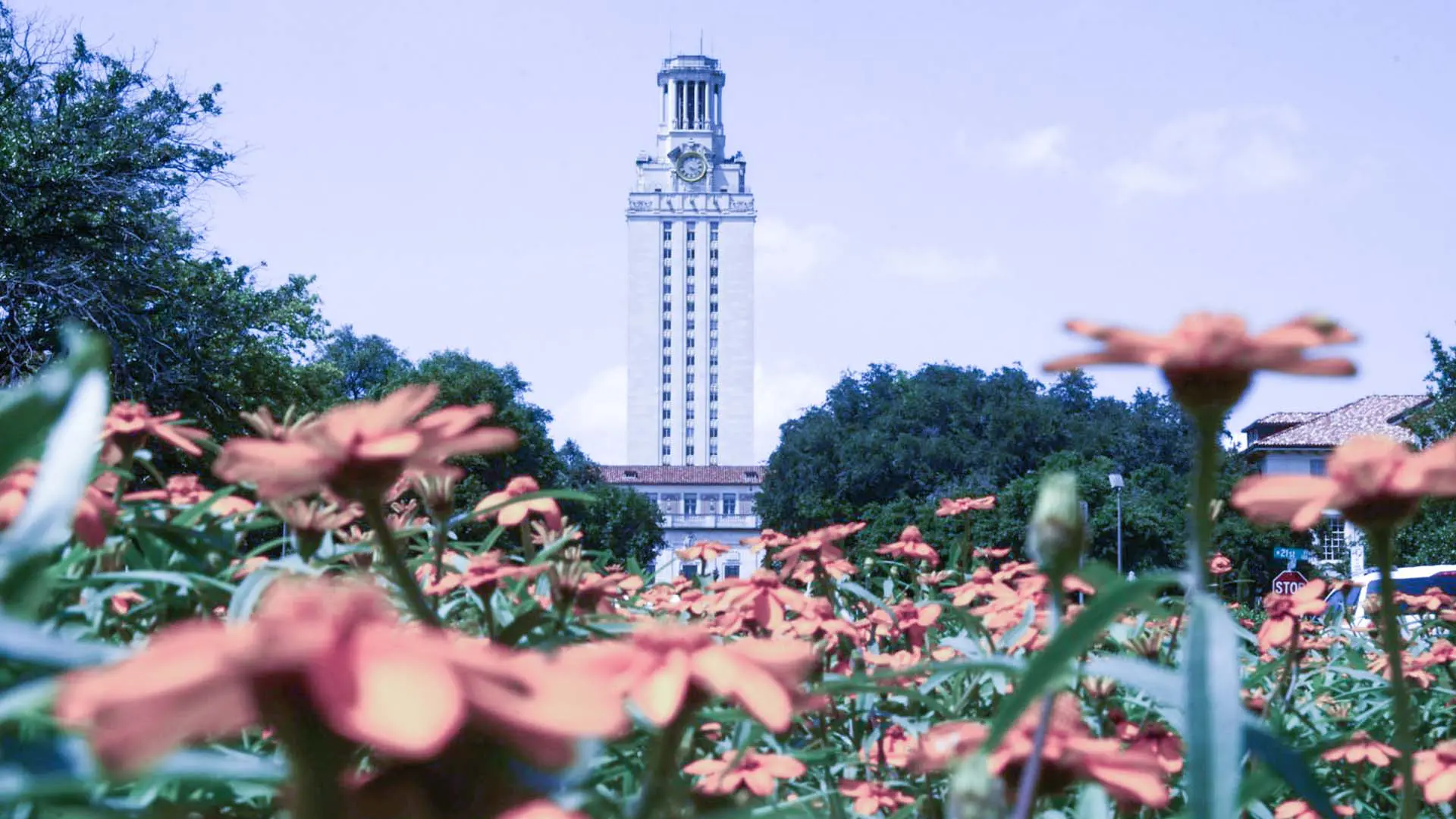 UTatAustin-Building