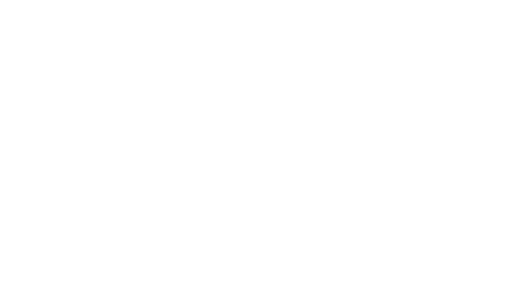 NSBluescope logo