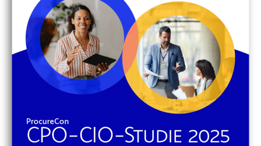 CPO-CIO Report in German