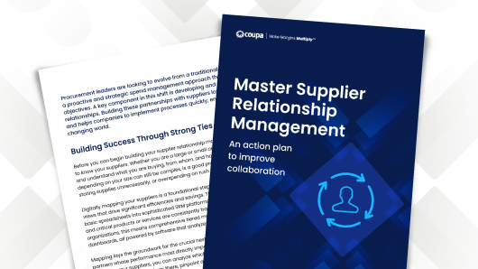 Master Supplier Relationship Management Checklist