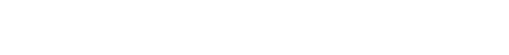 Eurowag Logo White