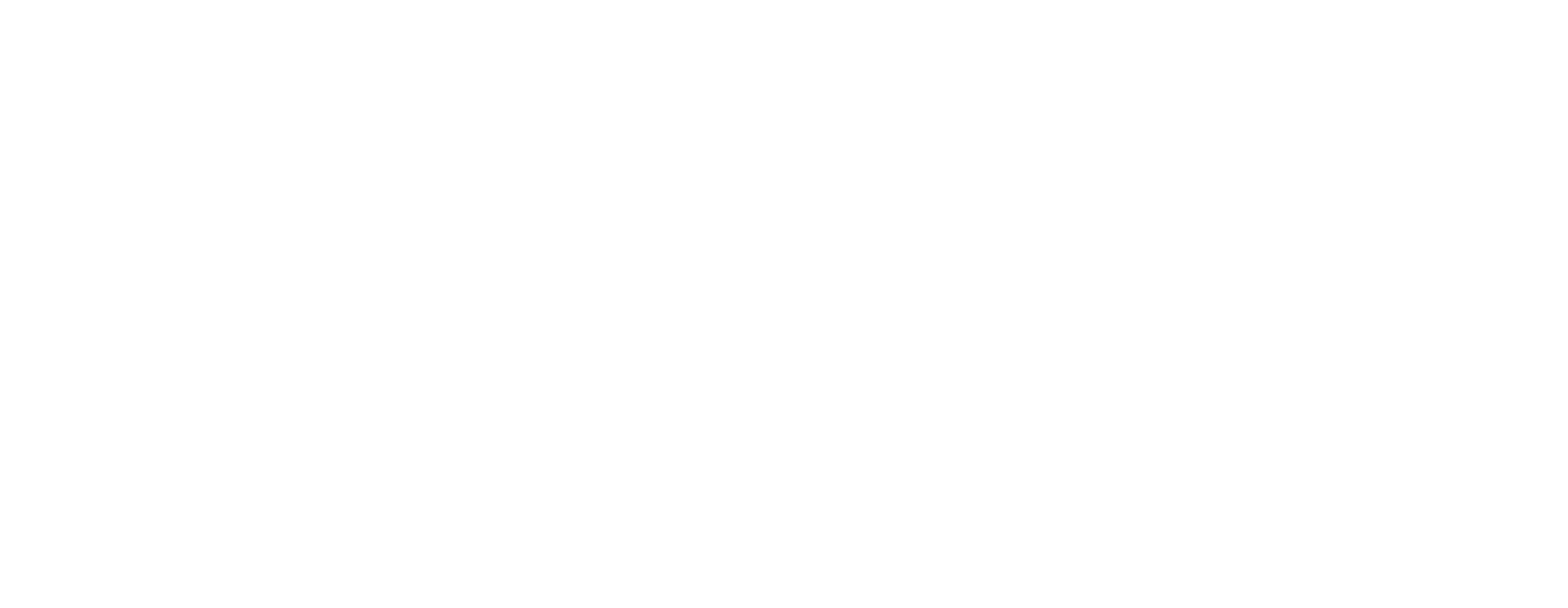 Wagners logo in white