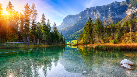 A pristine lake is surrounded by forest trees while a mountain towers in the background