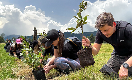 Coupa employees plant trees under a sunny sky