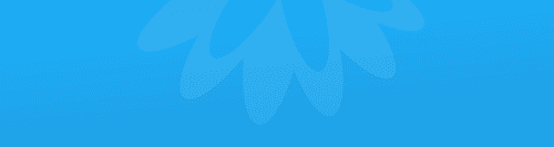 Exploring Changing Priorities in Payments and Treasury